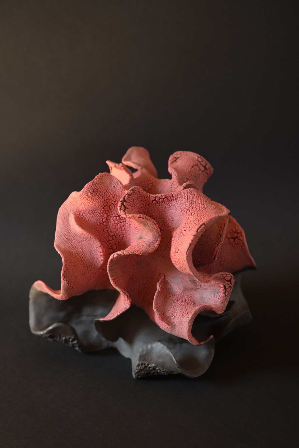 Unfurling, cracked red folds emerging from a darker base